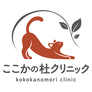 開院準備サイトを公開しました